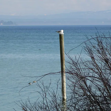 Fewo Bodensee_sicht Διαμέρισμα